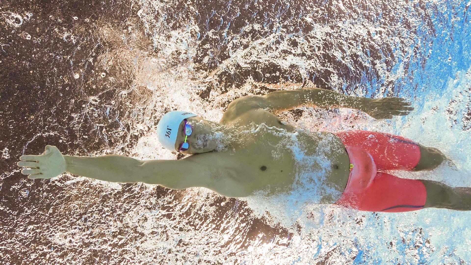 保利斯塔（Paulista），保利斯塔嘉宝果特点